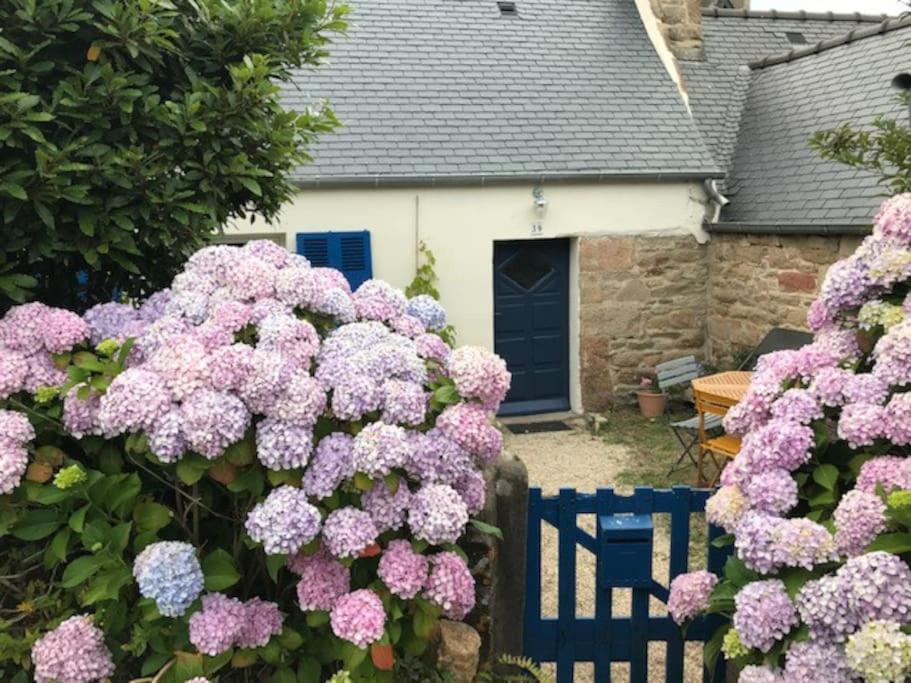 Trébeurden Charmante Maison De Pecheurs מראה חיצוני תמונה